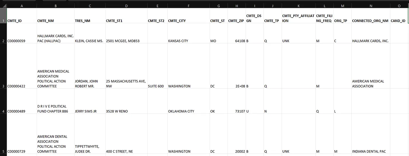 The converted CSV file